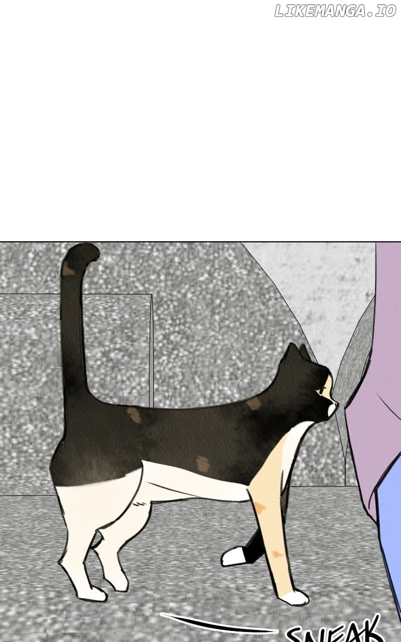 Page https://readmanhwaverse.com/images/want-to-see-my-cat/chapter-68/ch_68_26.jpg
