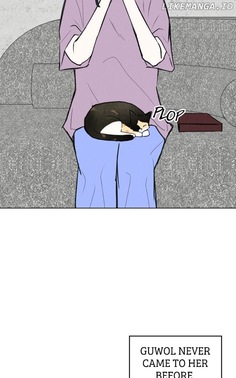 Page https://readmanhwaverse.com/images/want-to-see-my-cat/chapter-68/ch_68_28.jpg