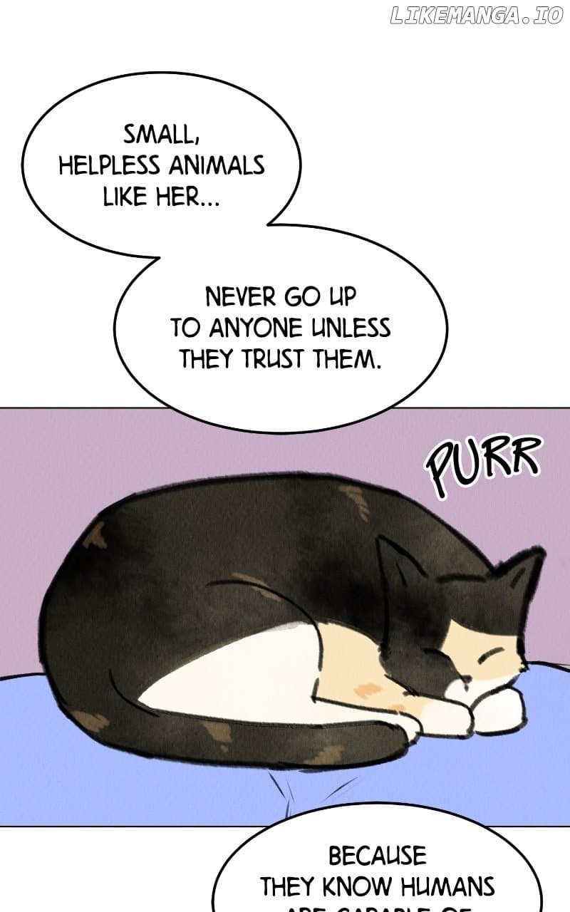Page https://readmanhwaverse.com/images/want-to-see-my-cat/chapter-68/ch_68_31.jpg