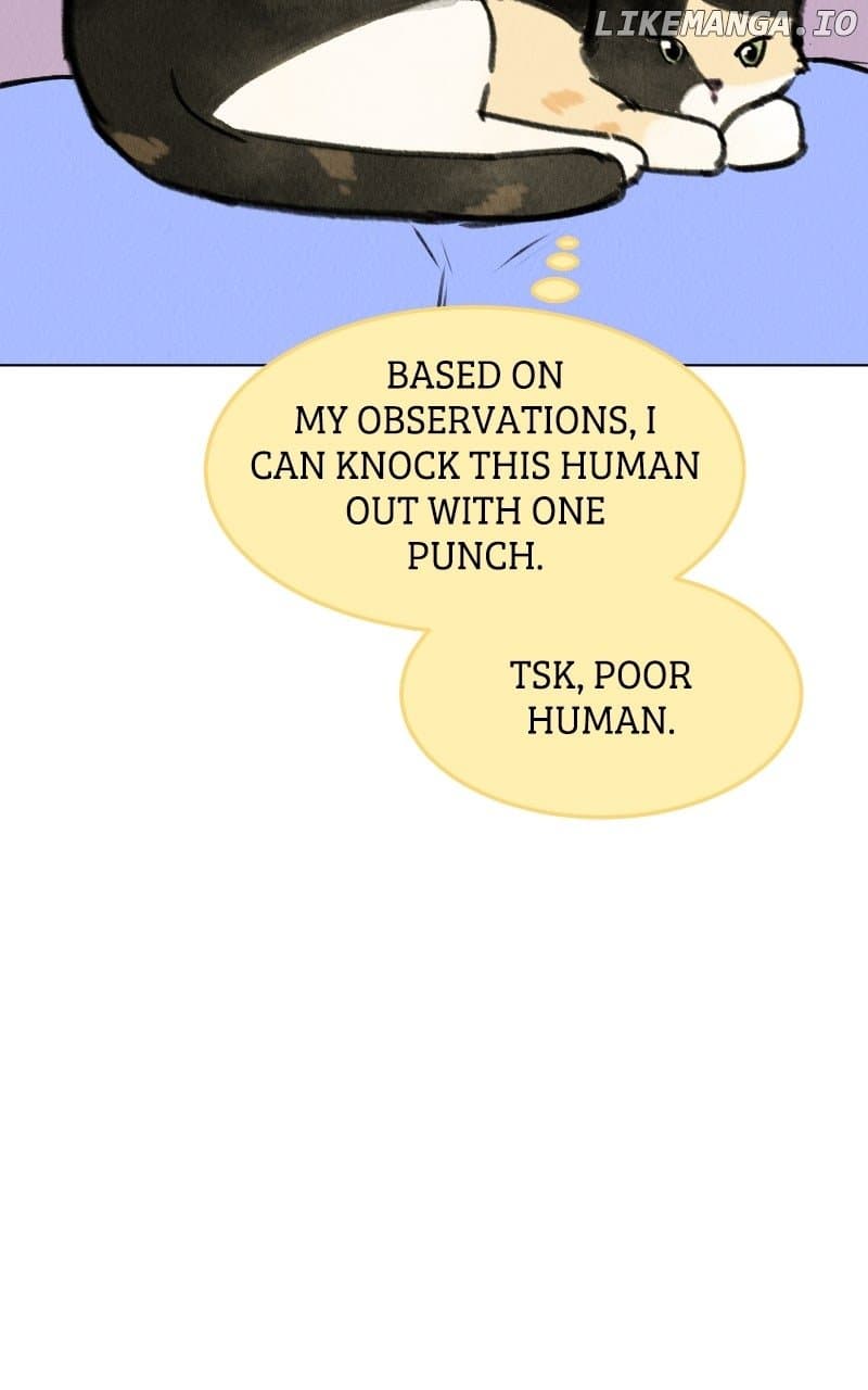 Page https://readmanhwaverse.com/images/want-to-see-my-cat/chapter-68/ch_68_34.jpg