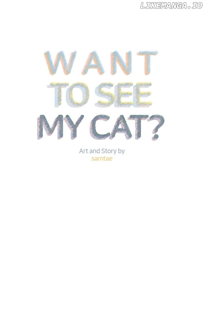Page https://readmanhwaverse.com/images/want-to-see-my-cat/chapter-68/ch_68_35.jpg