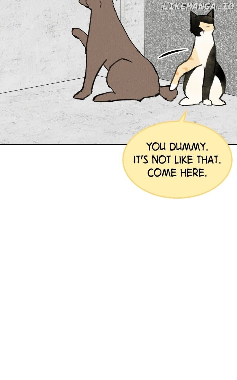 Page https://readmanhwaverse.com/images/want-to-see-my-cat/chapter-69/ch_69_63.jpg