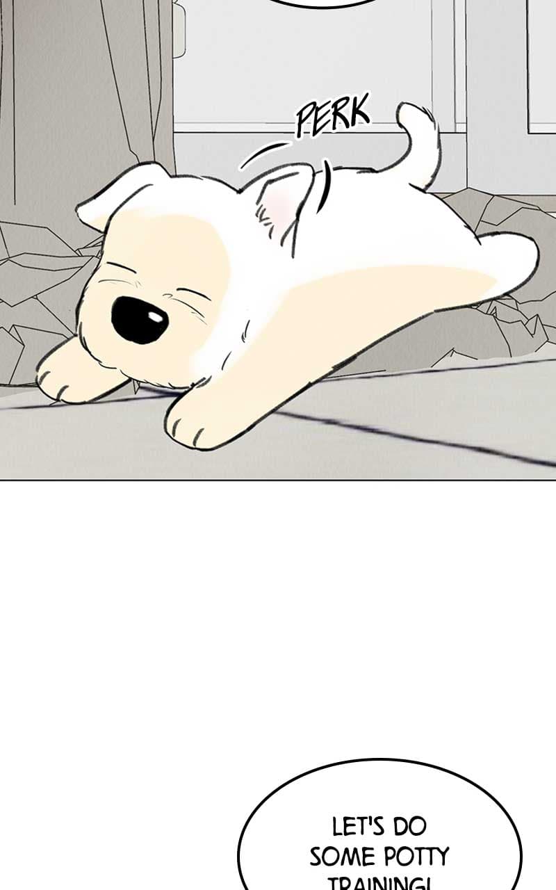 Page https://readmanhwaverse.com/images/want-to-see-my-cat/chapter-7/022.jpg