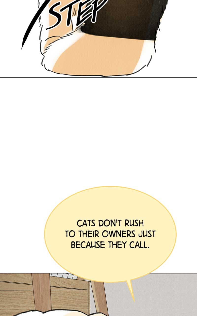 Page https://readmanhwaverse.com/images/want-to-see-my-cat/chapter-7/025.jpg