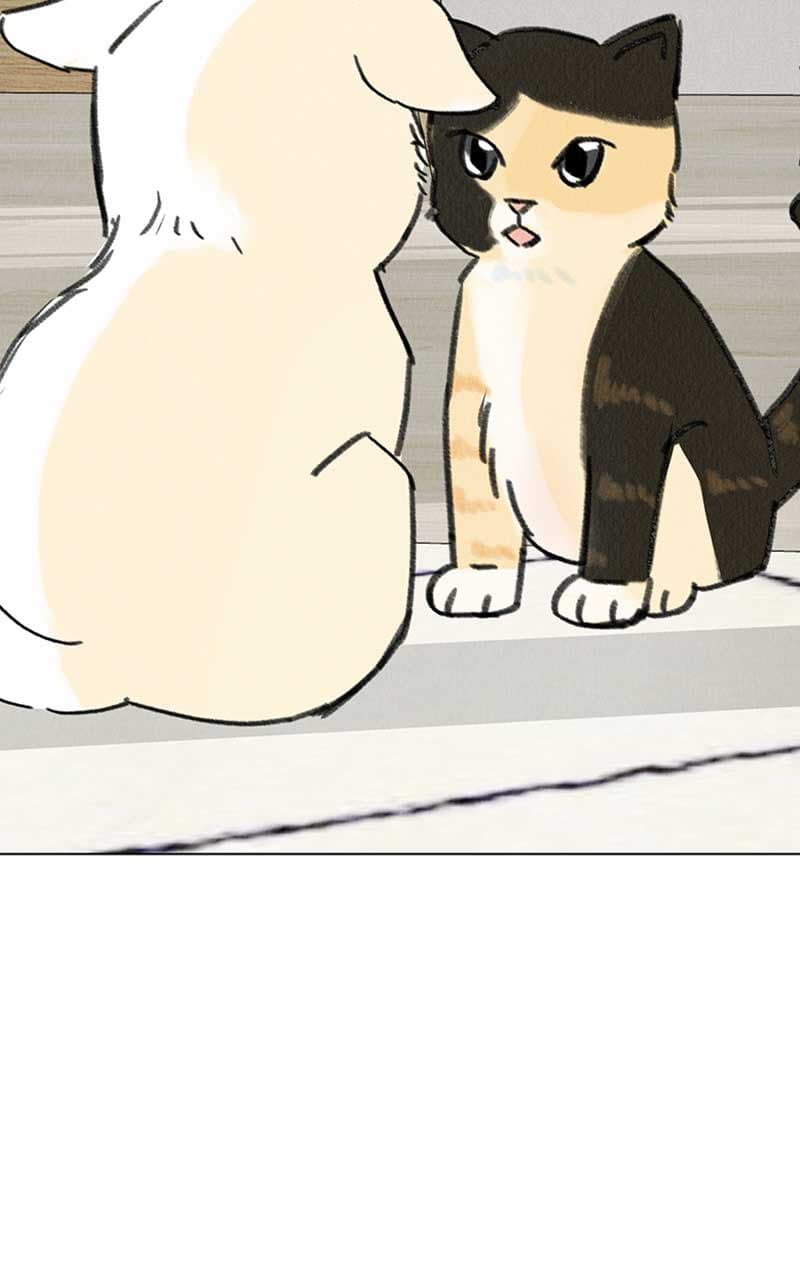Page https://readmanhwaverse.com/images/want-to-see-my-cat/chapter-7/026.jpg