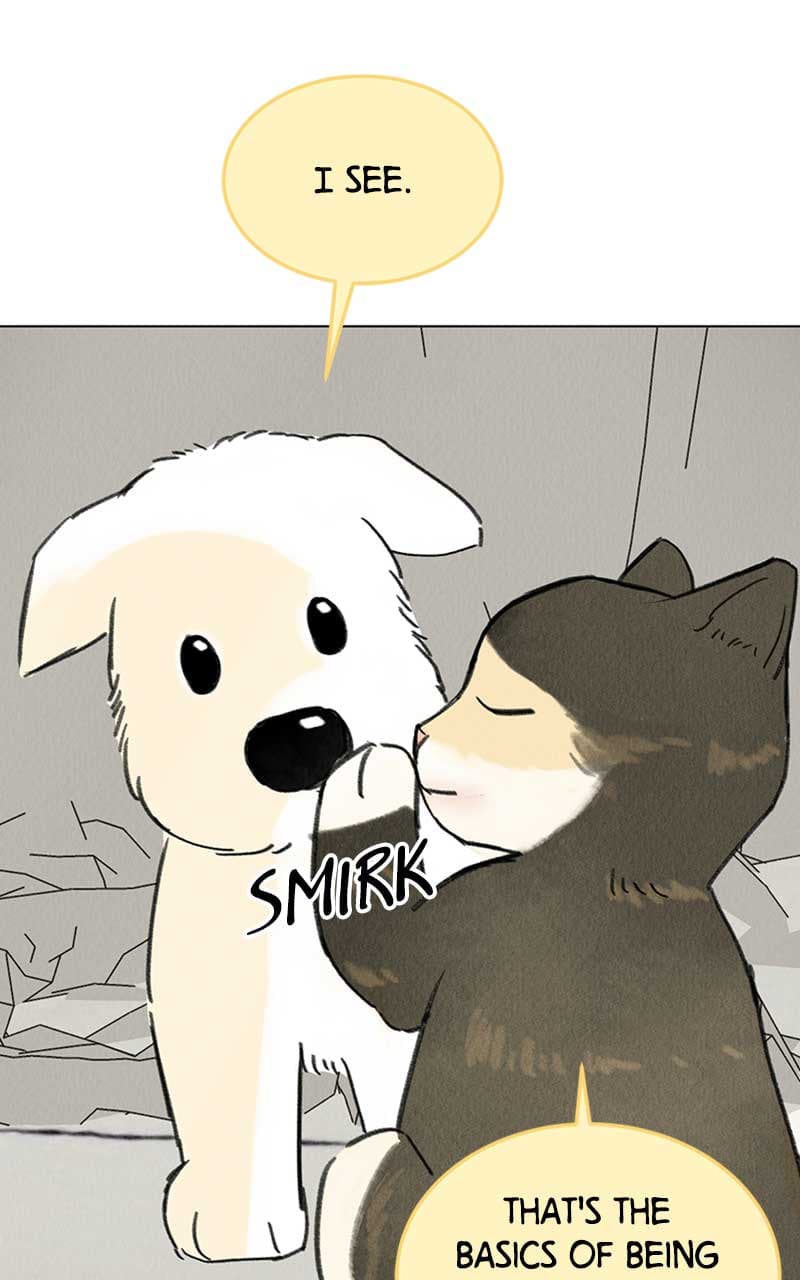 Page https://readmanhwaverse.com/images/want-to-see-my-cat/chapter-7/027.jpg