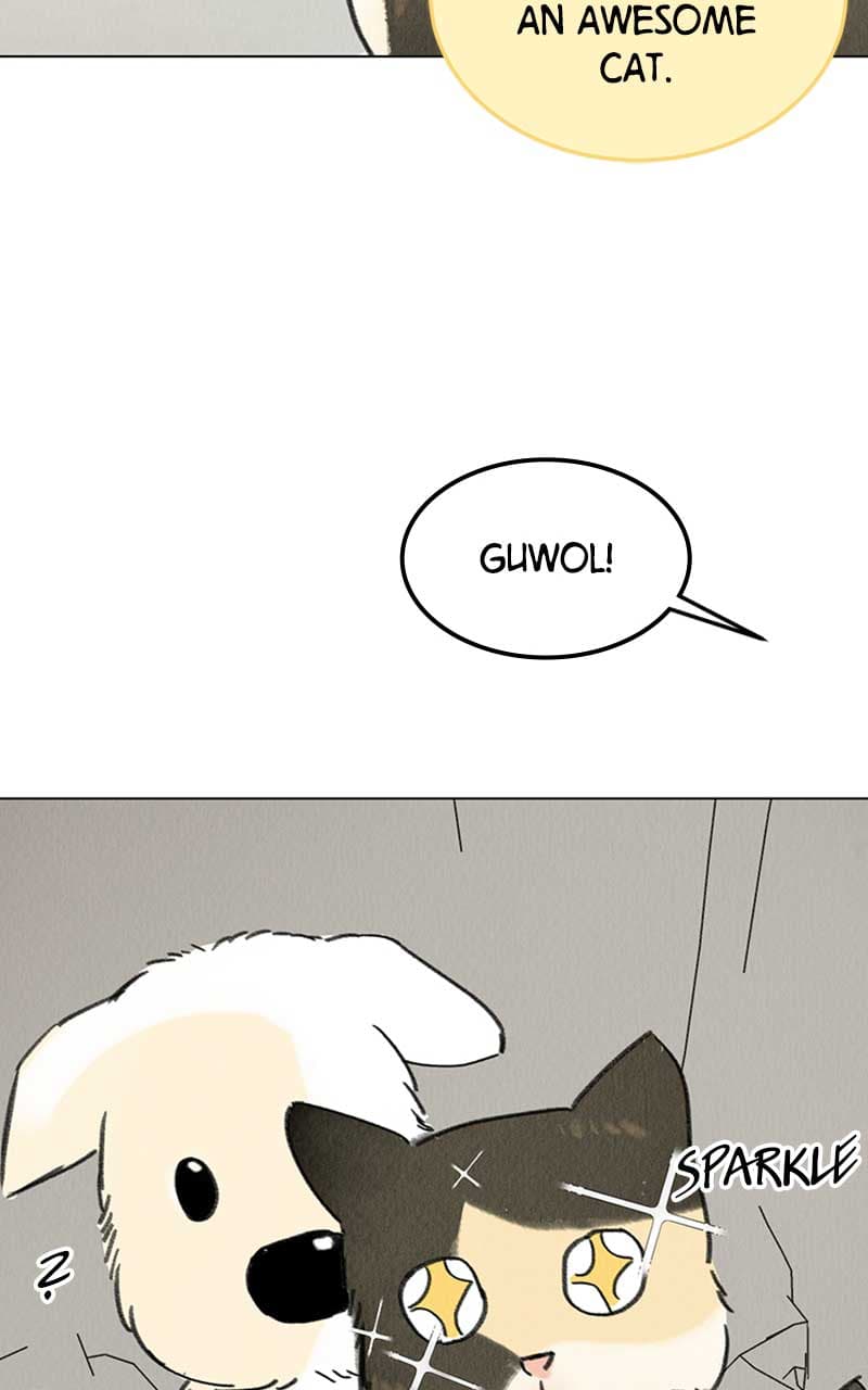 Page https://readmanhwaverse.com/images/want-to-see-my-cat/chapter-7/028.jpg