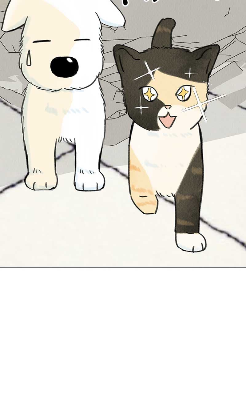 Page https://readmanhwaverse.com/images/want-to-see-my-cat/chapter-7/030.jpg