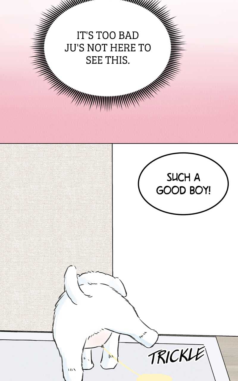 Page https://readmanhwaverse.com/images/want-to-see-my-cat/chapter-7/034.jpg