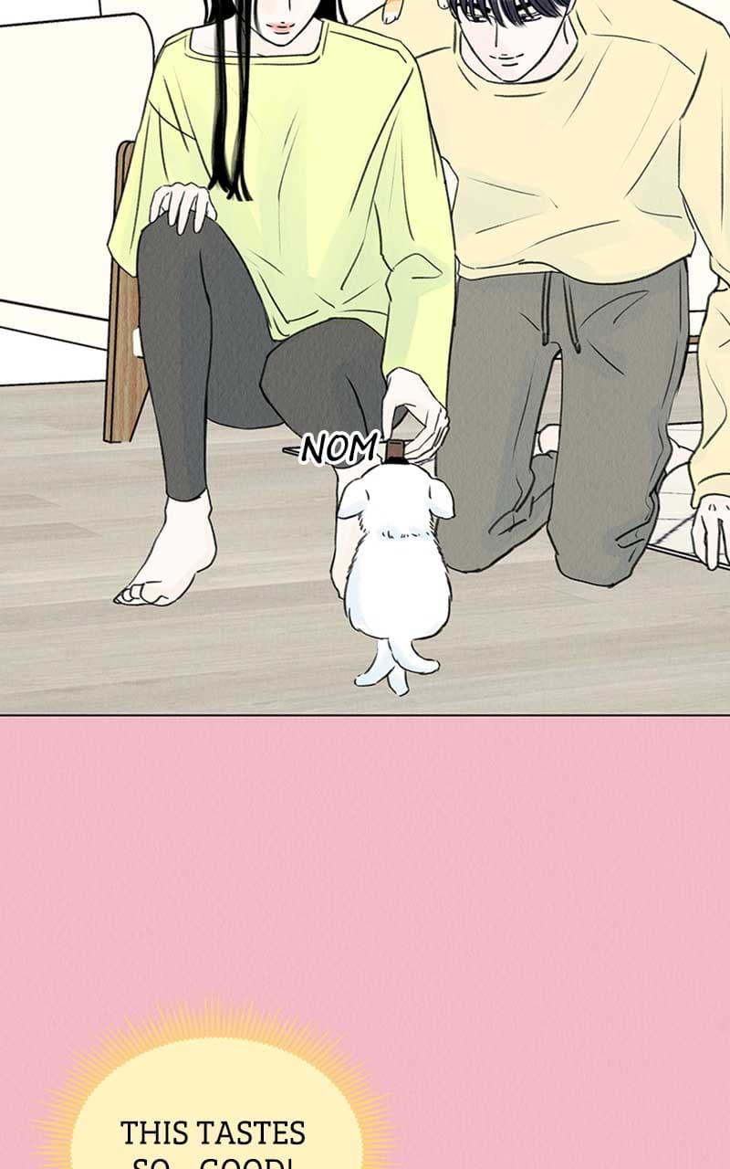 Page https://readmanhwaverse.com/images/want-to-see-my-cat/chapter-7/036.jpg