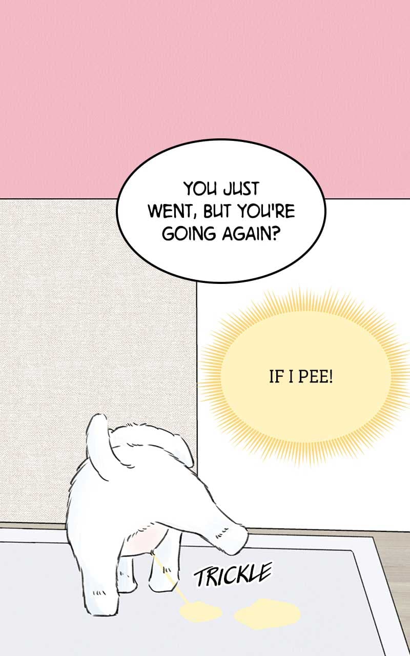 Page https://readmanhwaverse.com/images/want-to-see-my-cat/chapter-7/038.jpg