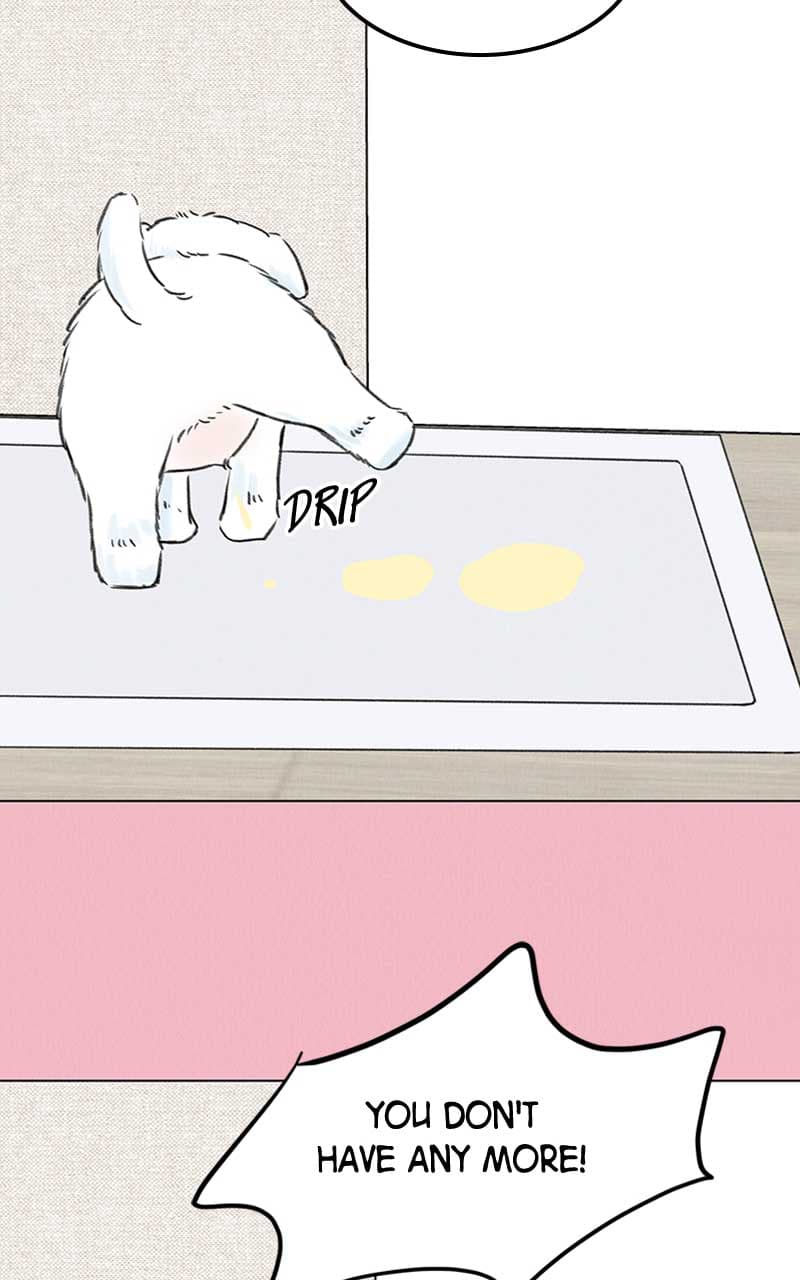 Page https://readmanhwaverse.com/images/want-to-see-my-cat/chapter-7/041.jpg