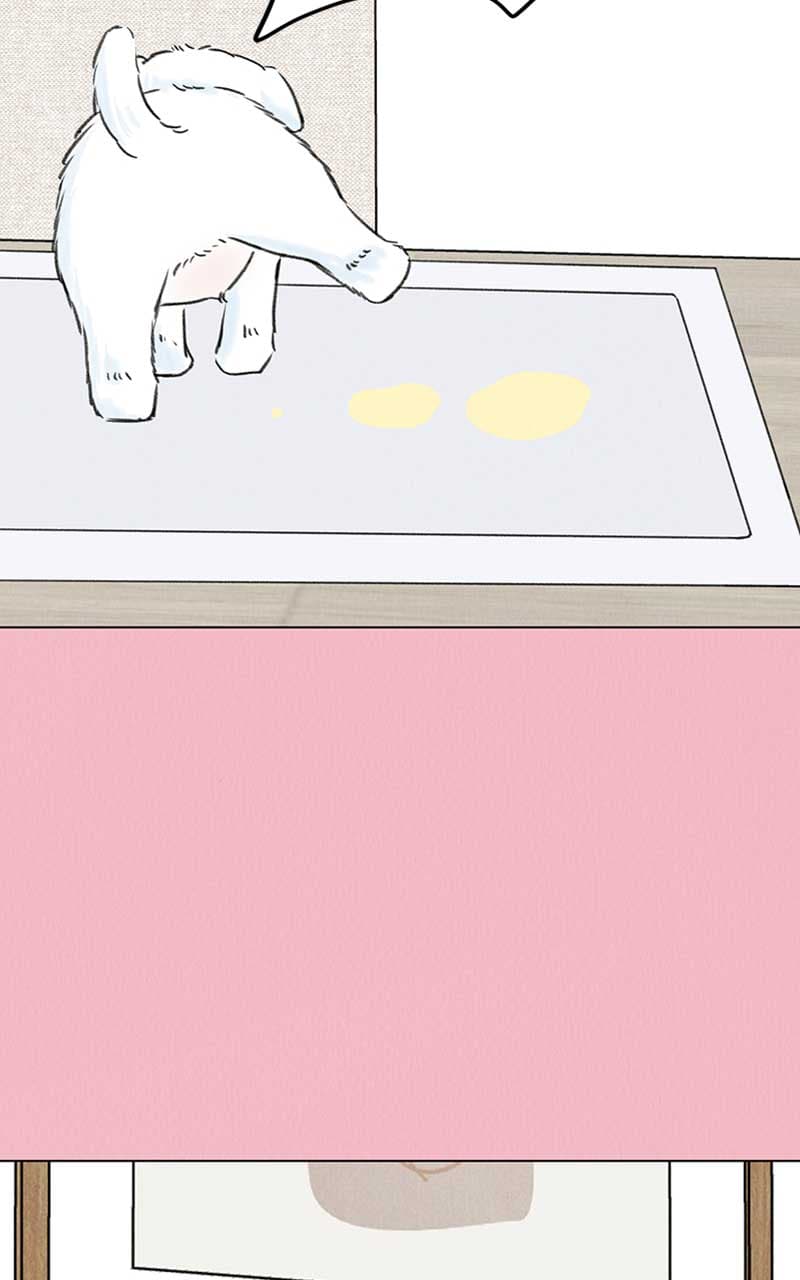 Page https://readmanhwaverse.com/images/want-to-see-my-cat/chapter-7/042.jpg