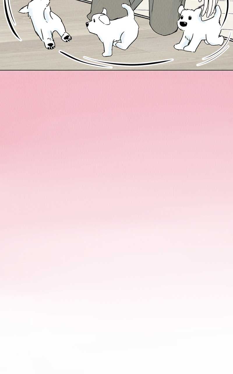 Page https://readmanhwaverse.com/images/want-to-see-my-cat/chapter-7/044.jpg