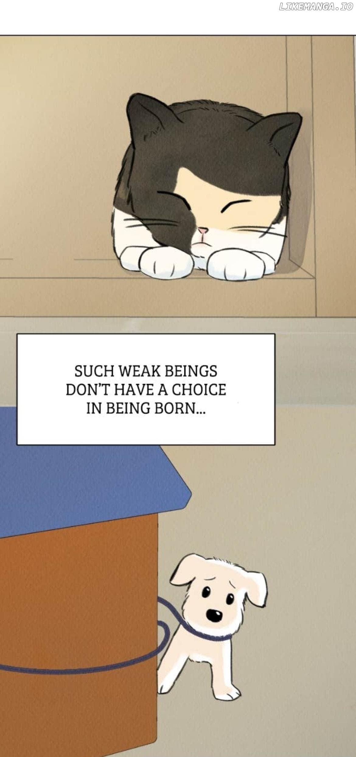 Page https://readmanhwaverse.com/images/want-to-see-my-cat/chapter-70/ch_70_15.jpg