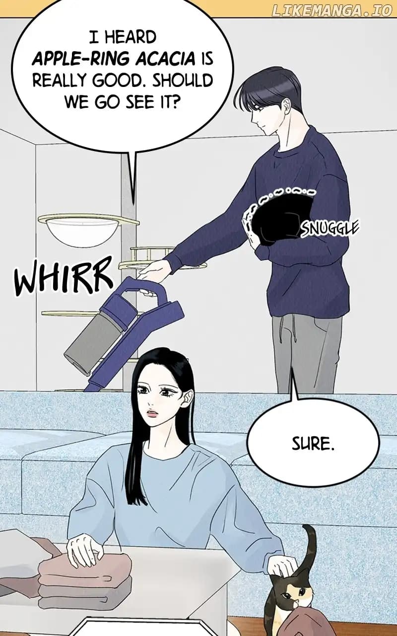 Page https://readmanhwaverse.com/images/want-to-see-my-cat/chapter-8/24.webp
