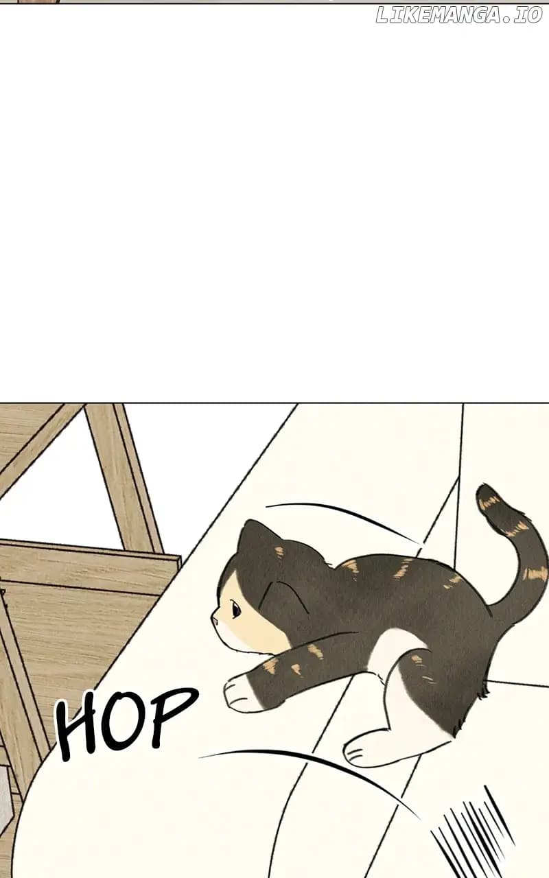 Page https://readmanhwaverse.com/images/want-to-see-my-cat/chapter-9/012.jpg
