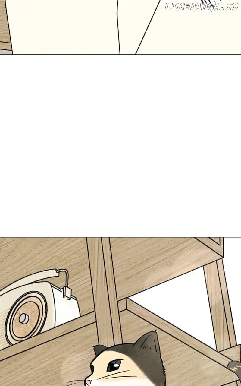 Page https://readmanhwaverse.com/images/want-to-see-my-cat/chapter-9/013.jpg