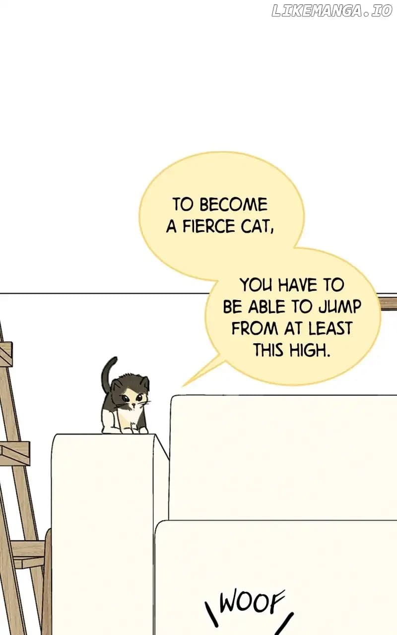 Page https://readmanhwaverse.com/images/want-to-see-my-cat/chapter-9/015.jpg