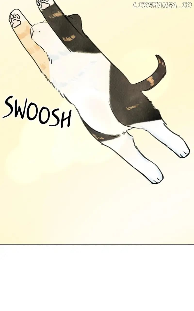 Page https://readmanhwaverse.com/images/want-to-see-my-cat/chapter-9/017.jpg