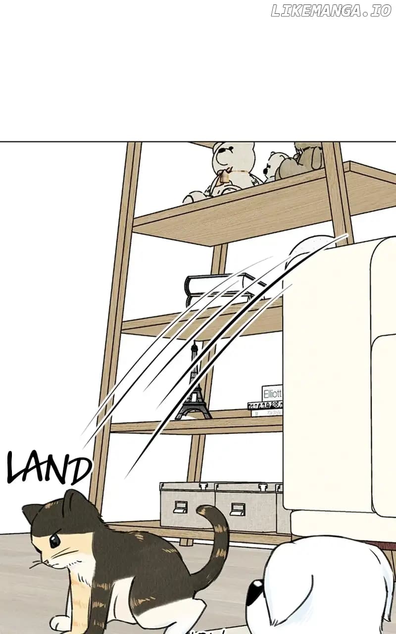 Page https://readmanhwaverse.com/images/want-to-see-my-cat/chapter-9/018.jpg