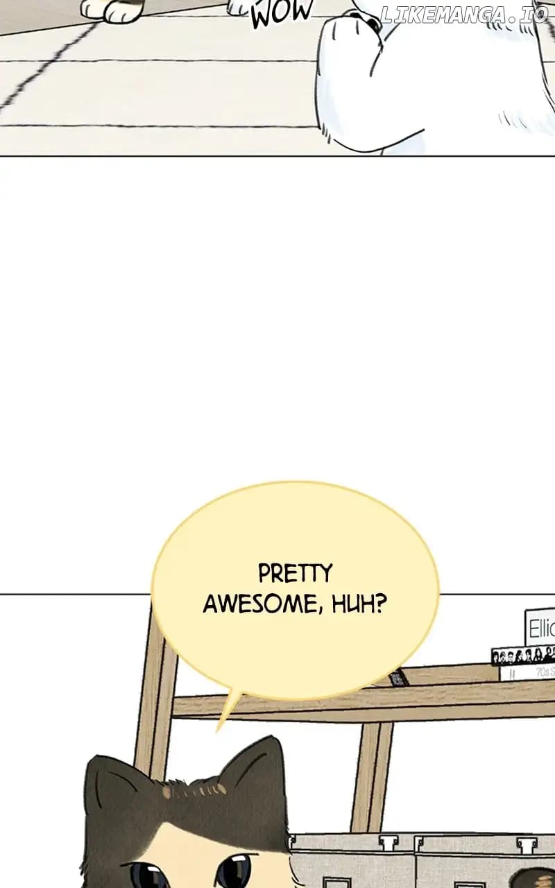 Page https://readmanhwaverse.com/images/want-to-see-my-cat/chapter-9/019.jpg