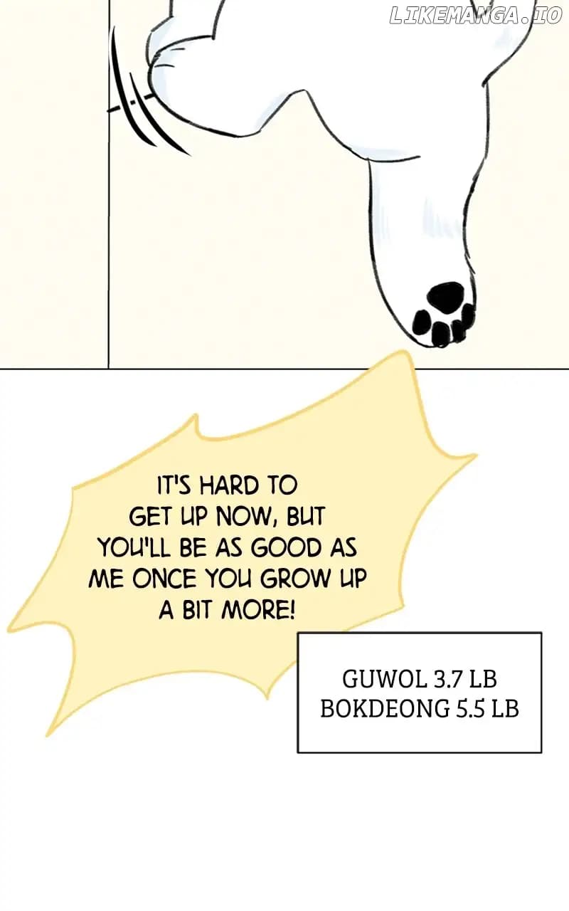 Page https://readmanhwaverse.com/images/want-to-see-my-cat/chapter-9/024.jpg
