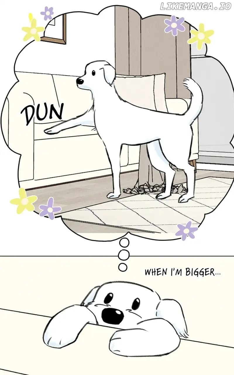 Page https://readmanhwaverse.com/images/want-to-see-my-cat/chapter-9/025.jpg
