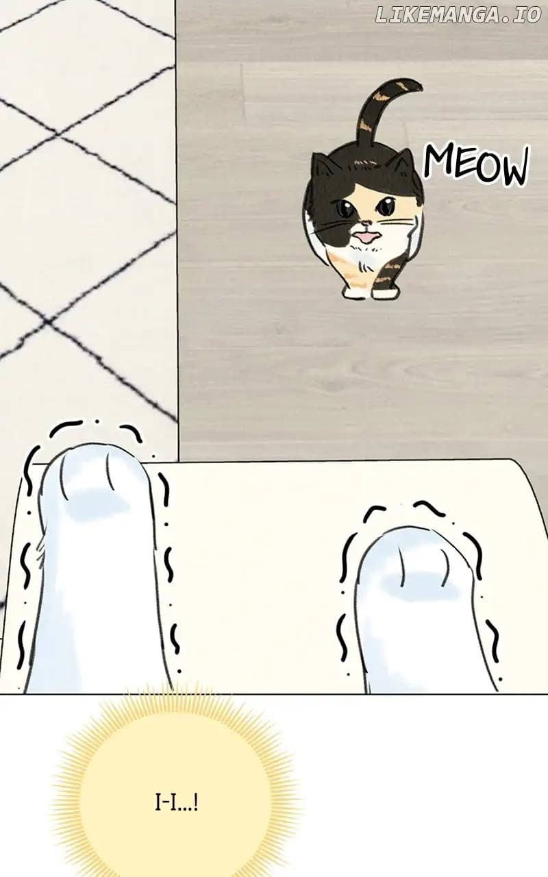 Page https://readmanhwaverse.com/images/want-to-see-my-cat/chapter-9/027.jpg