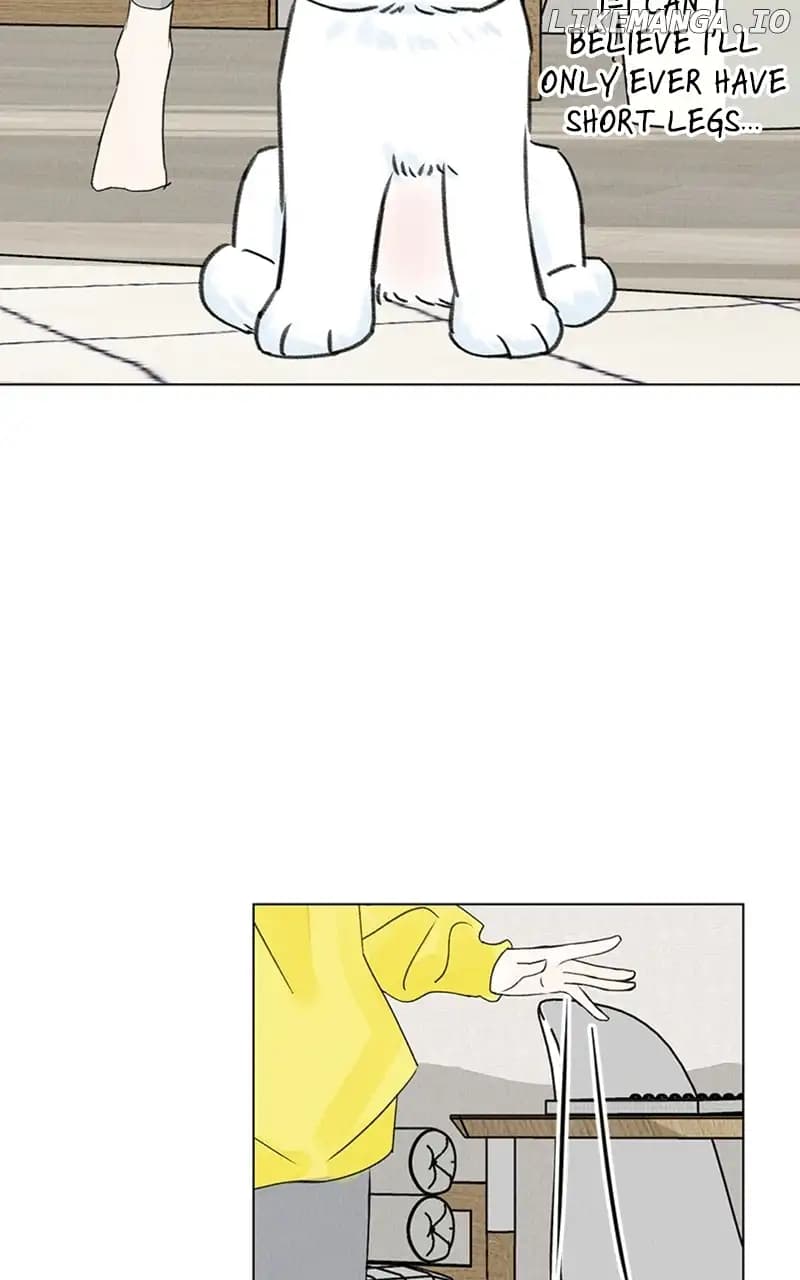 Page https://readmanhwaverse.com/images/want-to-see-my-cat/chapter-9/039.jpg