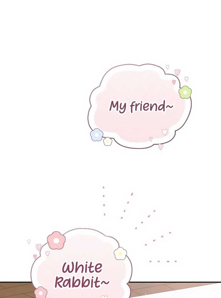 Page https://readmanhwaverse.com/images/white-rabbit-in-wonderland/chapter-19/048.jpg